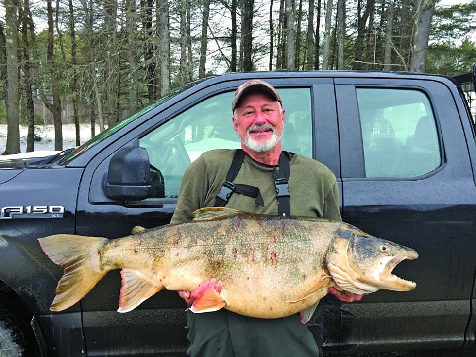 Record-Breaking Lake Trout Caught in New Hampshire