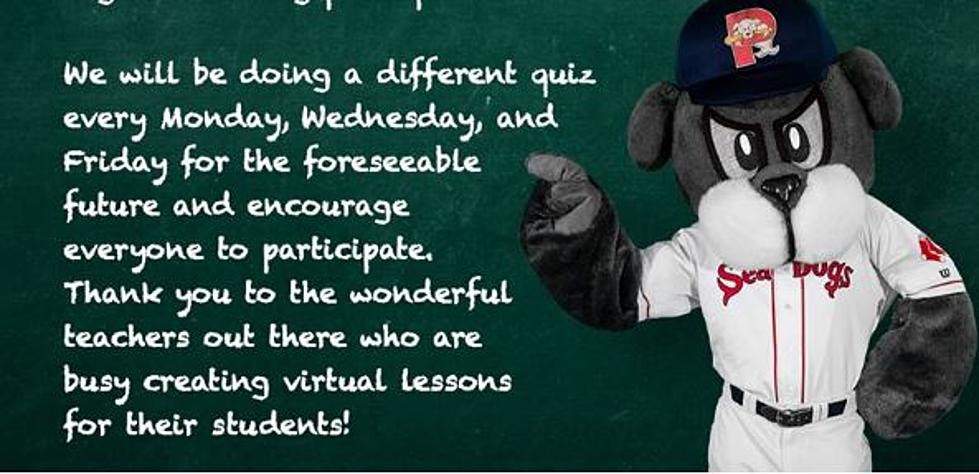 Slugger From The Portland Sea Dogs Has Fun Homework For Maine Students
