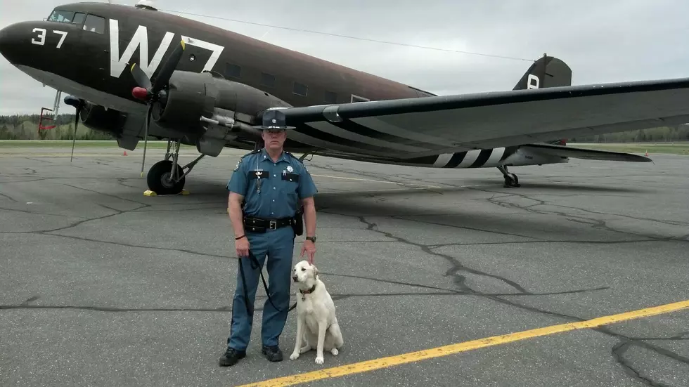 Hero K9 Bailey Passes, Ending A Life of Service With the Maine State Police