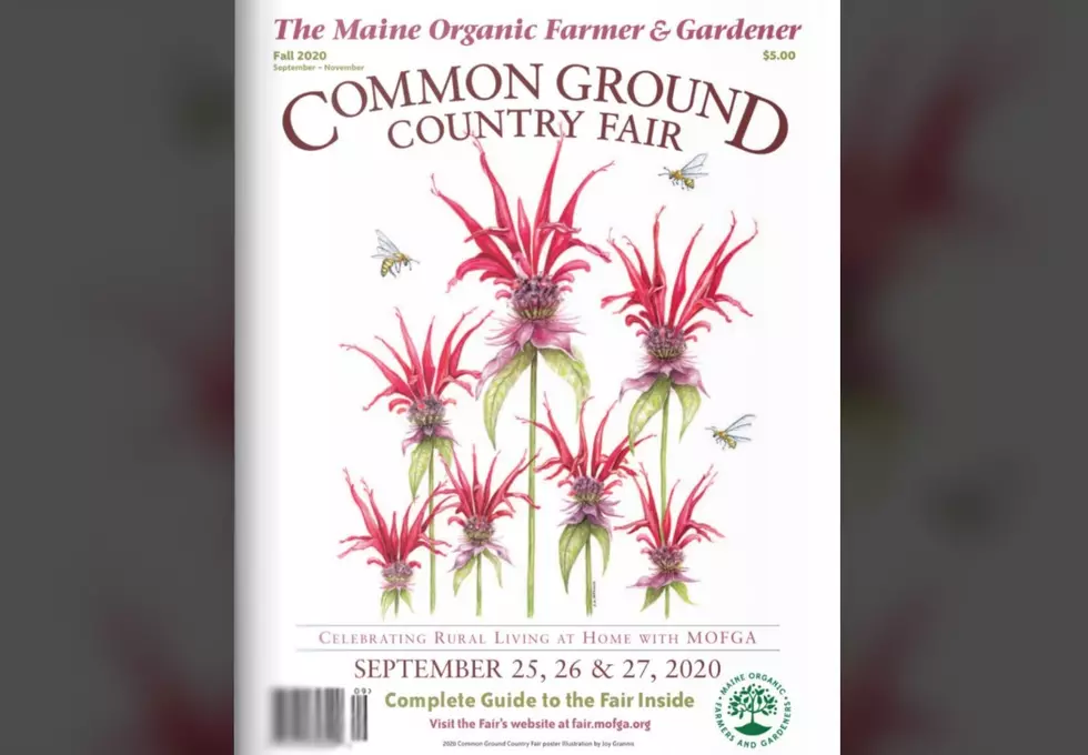 Maine&#8217;s Common Ground Fair Happens This Weekend, Virtually