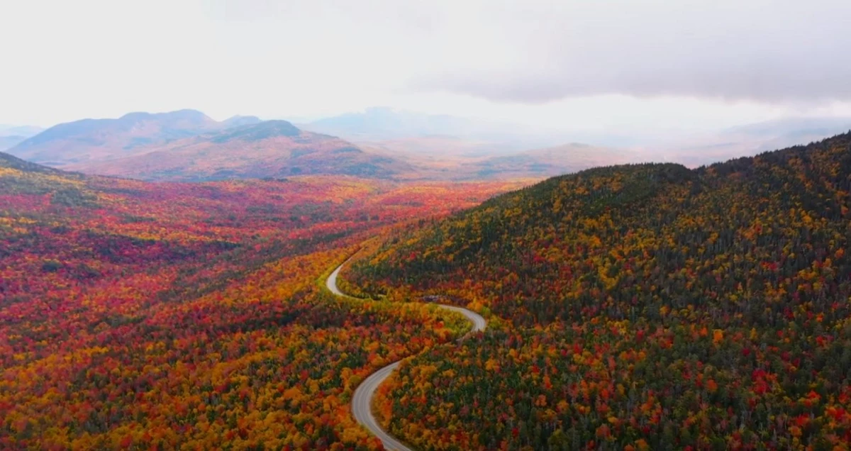 Stunning White Mountain Foliage Drone Video Shows Fall Perfection