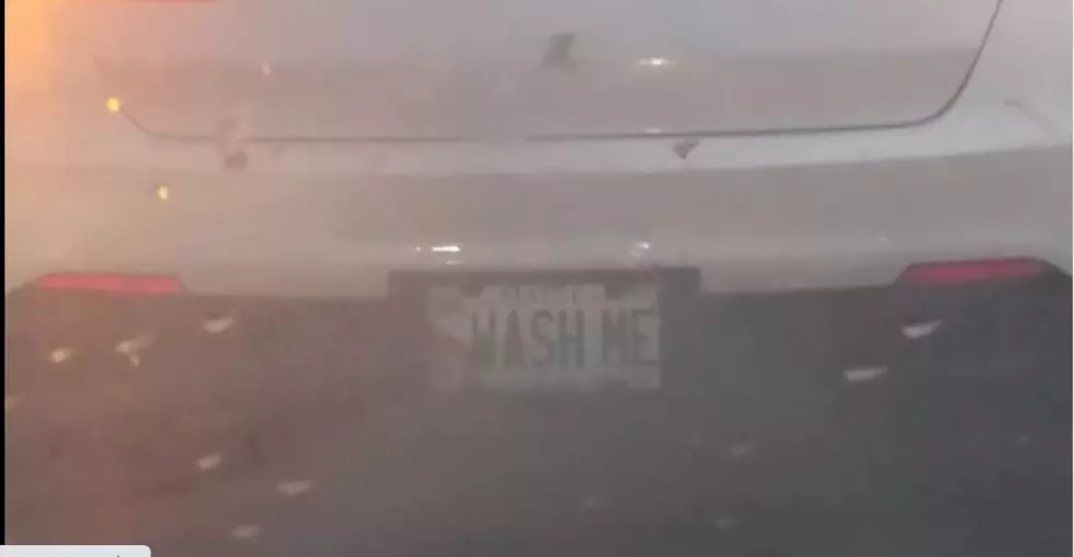 You Want Silly Maine License Plates? You Got It