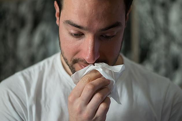 Is It COVID or Just Your Usual Maine Spring Allergies? Here&#8217;s How To Tell the Difference.