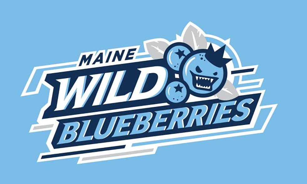 You Won&#8217;t Believe These Wild (and Real) Maine Pro Sports Team Names