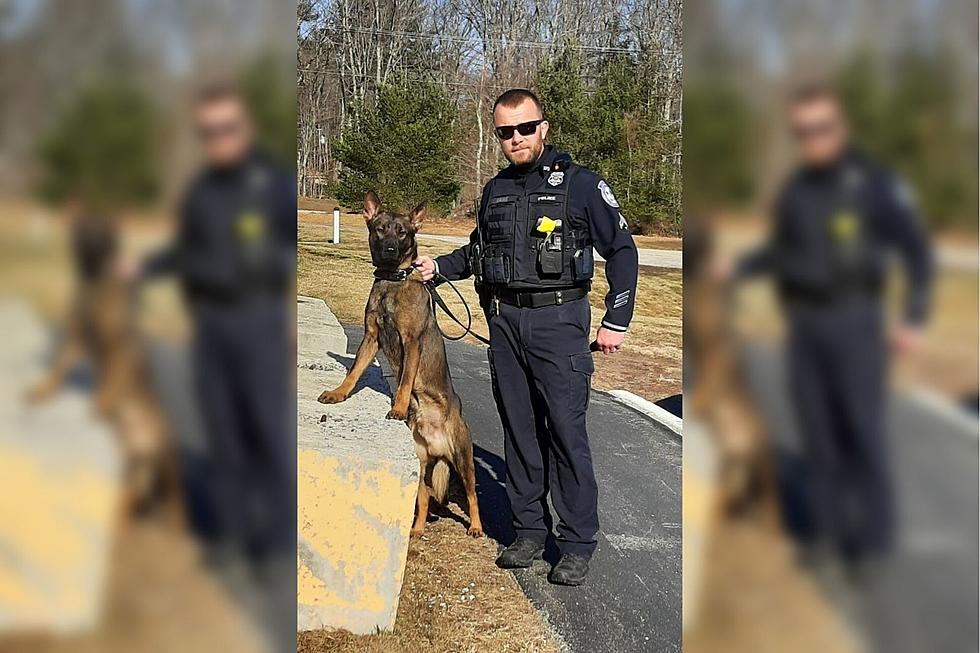 The Town of Buxton, Maine is Getting a K-9 Unit and I&#8217;m Excited