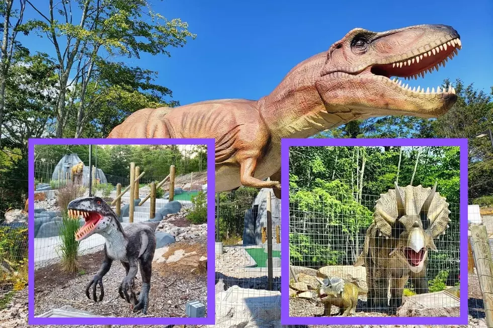 Raptor Falls via Facebook: Canva