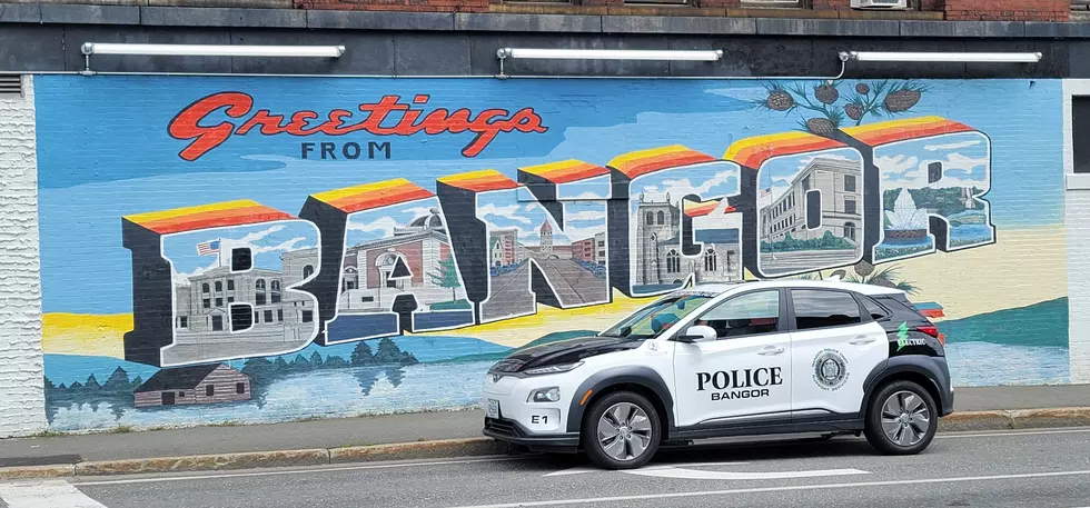 Bangor PD Came up With Hilarious New Slogan for Blinker Awareness