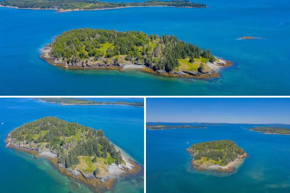 Stunning Uninhabited Maine Island For Sale & Ready to Develop