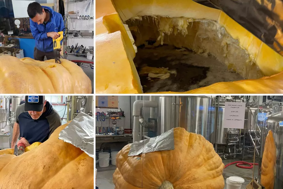 Want a Beer That’s Been Brewed Inside the Second Largest Pumpkin Ever in Maine?