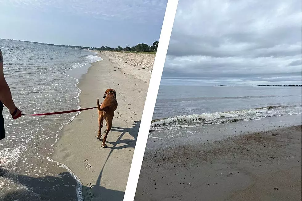 You Can Find an All-Day, Dog-Friendly Beach in This Southern Maine Town