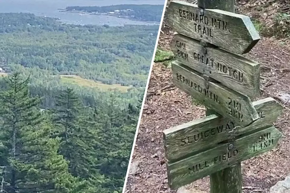 Maine's Best Unknown Trail Can Be Found in Acadia National Park