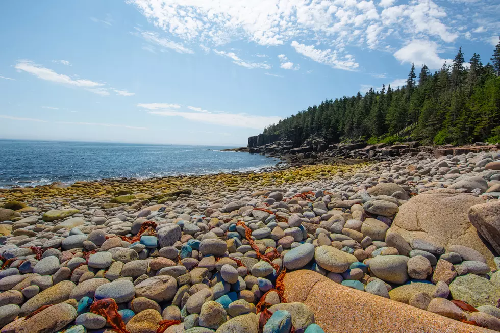 Colorful cobblestone beach at Acadia National park
