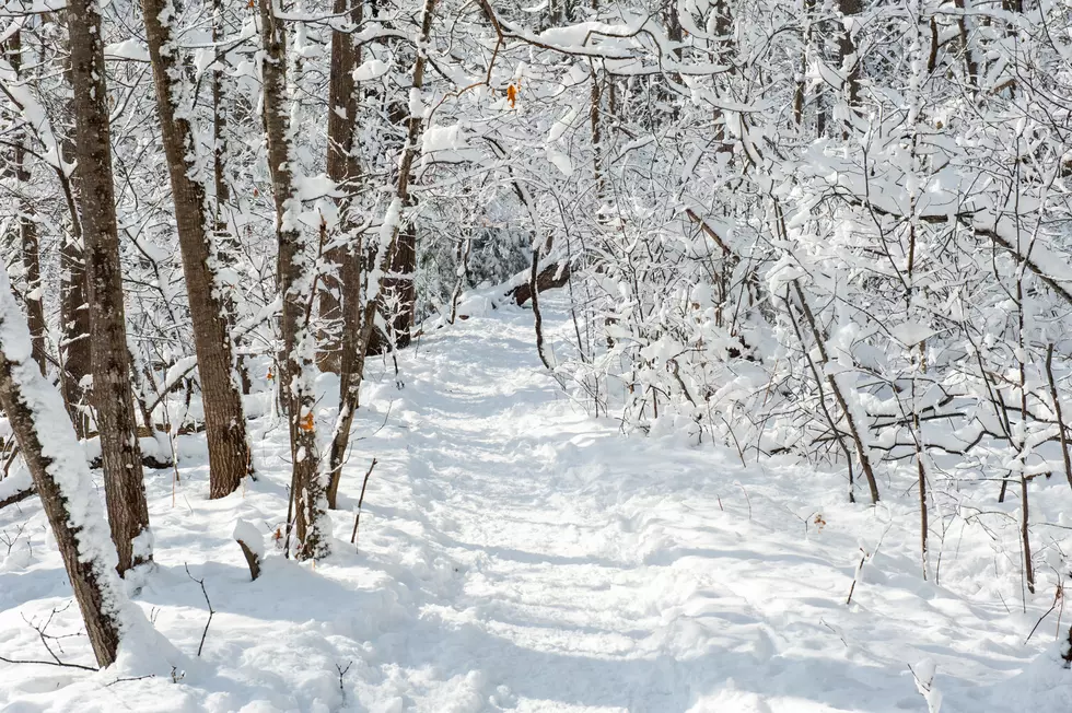 Snowy path through the woods on a clear, winter day in Maine.