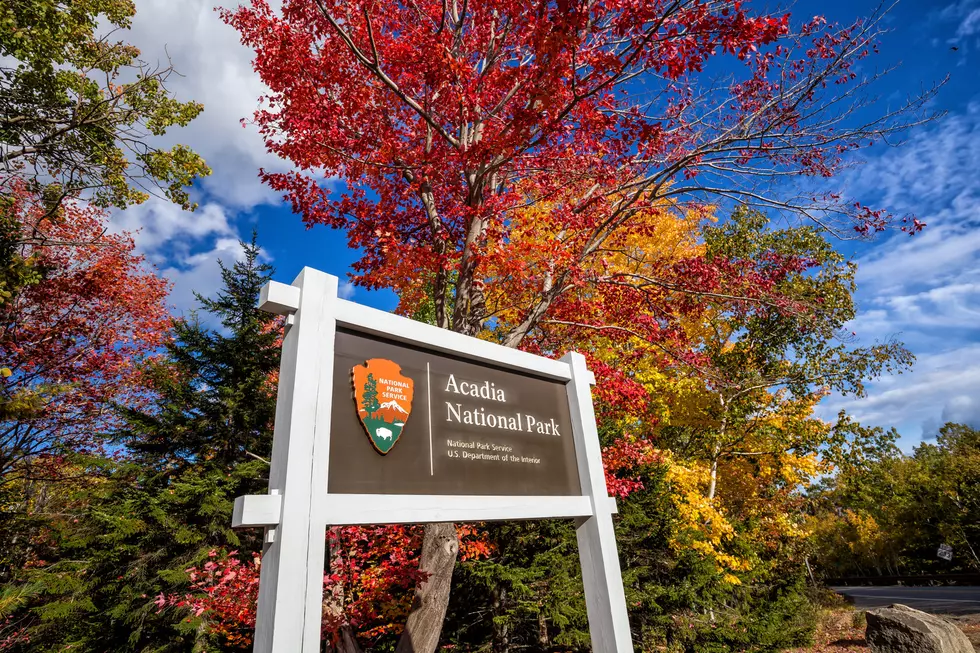 Beautiful fall colors of Acadia National Park in Maine USA