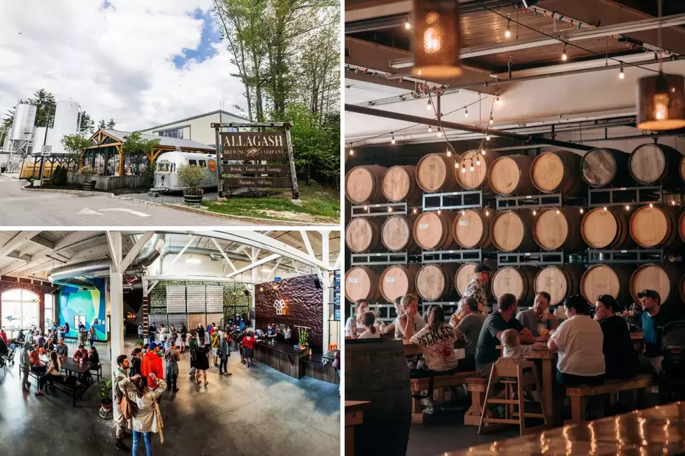 These Are Maine’s 20 Most Popular Craft Beers, According to Drinkers