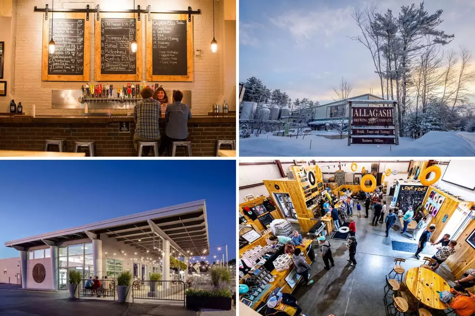 The Best Breweries in Portland, Maine, Ranked by TripAdvisor Reviews