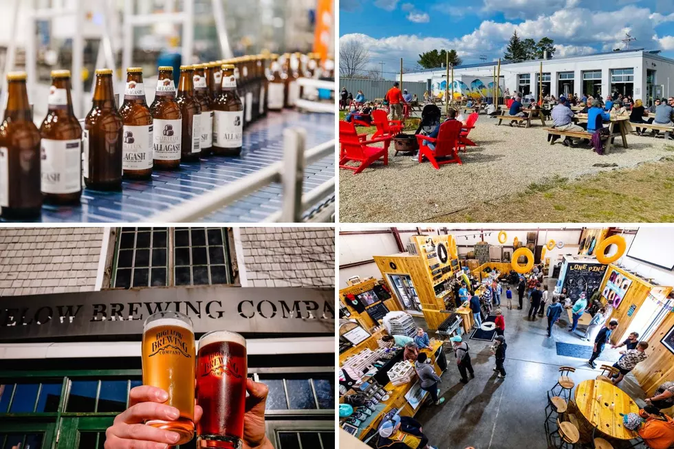 20 Maine Breweries Every Craft Beer Fan Needs to Visit