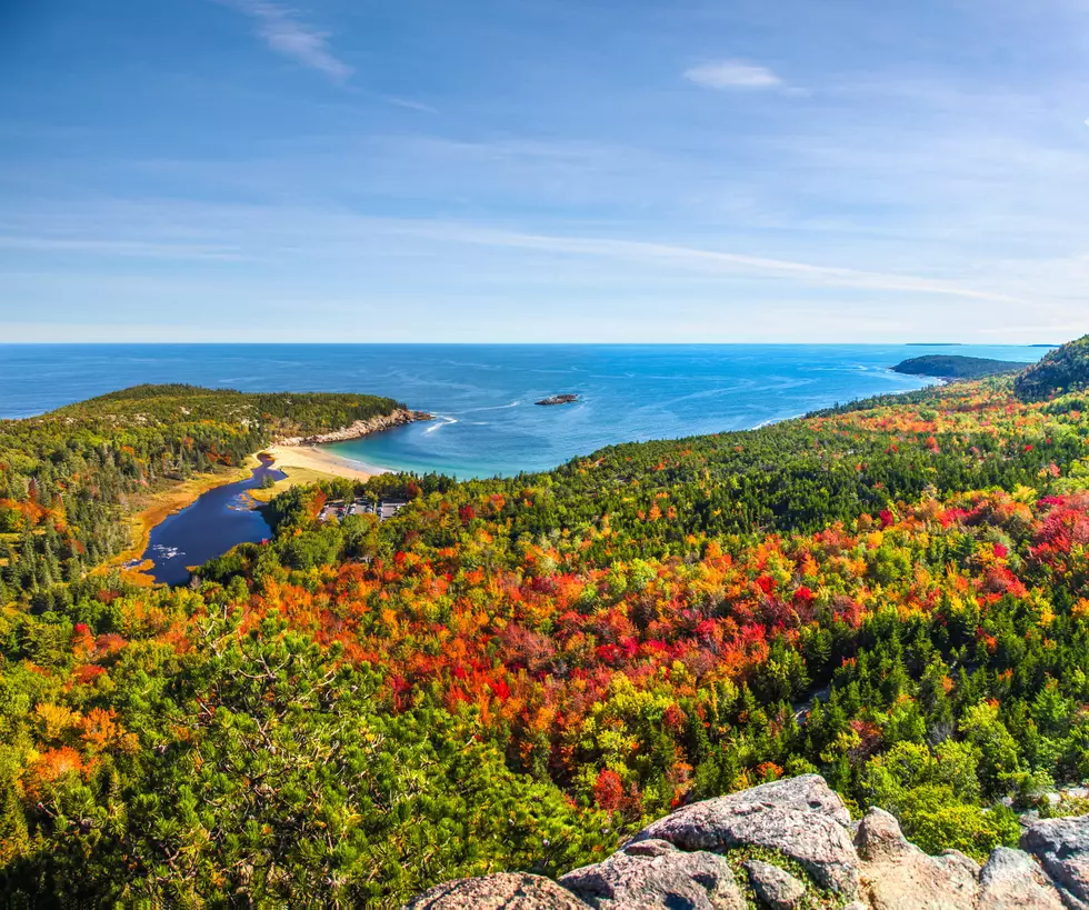 Maine Fall Foliage 2026: See the Latest Color Report