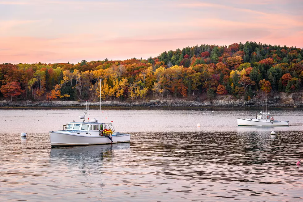 Get Ready, Leaf Peepers: Maine’s First Fall Foliage Report Is Here