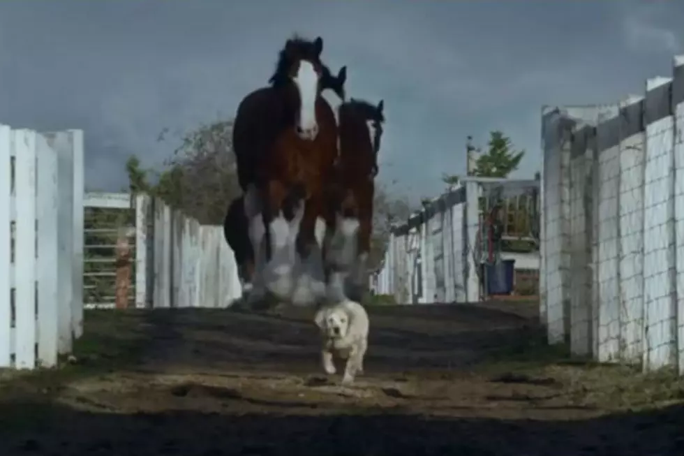 The Best and Worst Commercials that Ran During Super Bowl XLIX [VIDEOS]
