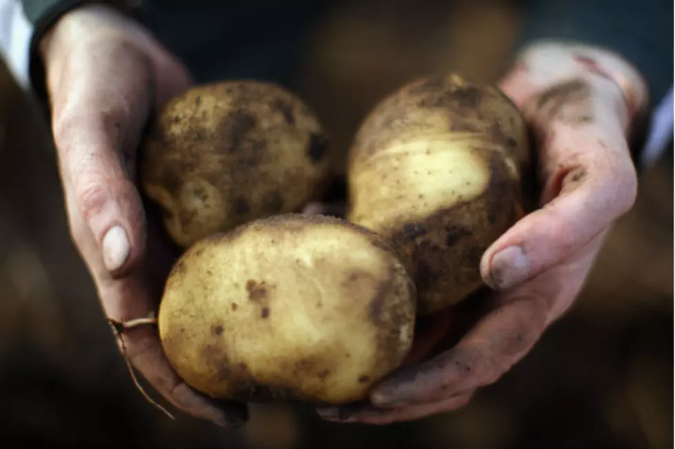 Two Maine Men Arrested For Selling 45k Worth Of &#8220;Hot&#8221; Potatoes