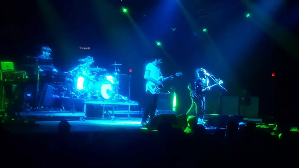 Foals