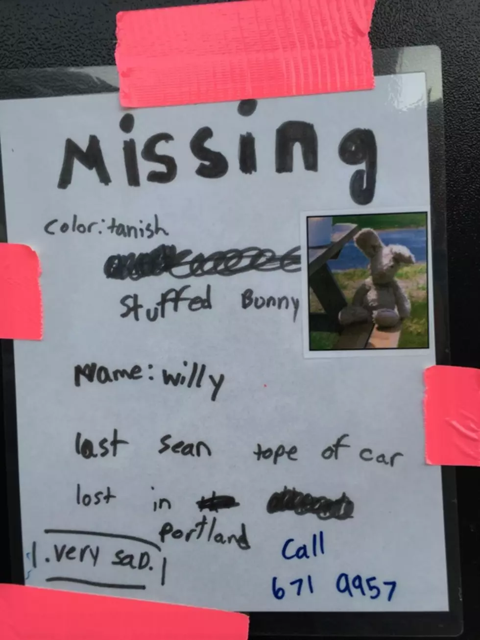 Portland Child Makes Heartbreaking Poster Asking For Help Finding A Stuffed Bunny