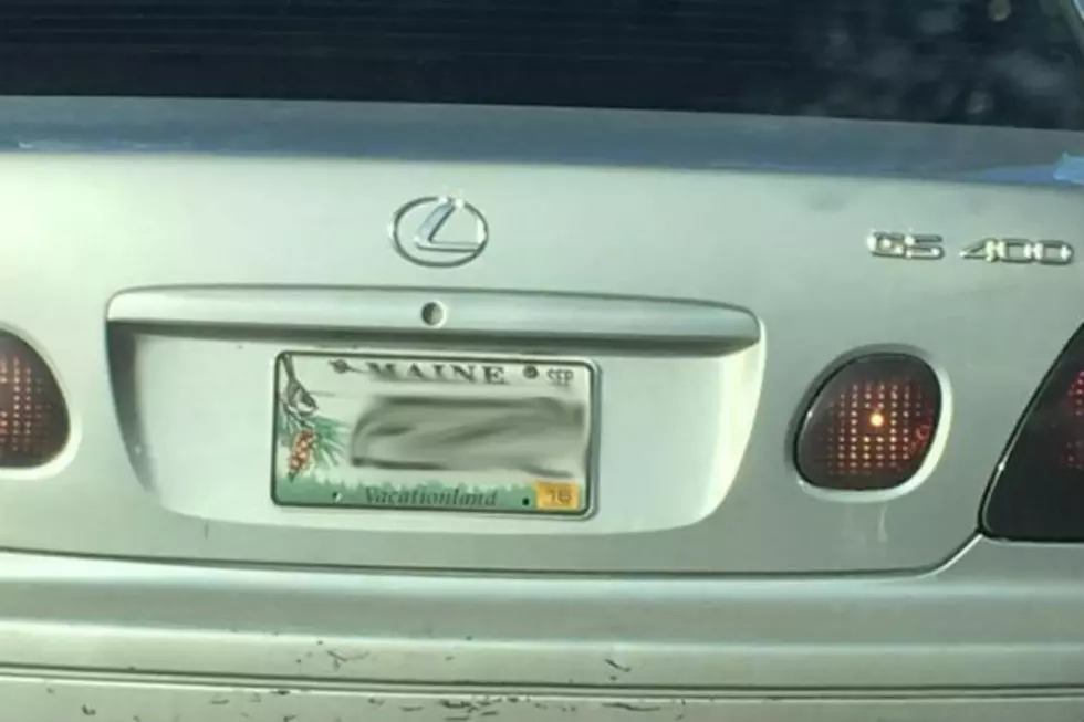 Naughty Maine Vanity Plates