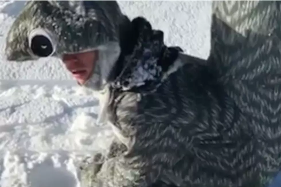 Straight Outta Maine: Man Dressed As Squirrel Frolics Through Snow