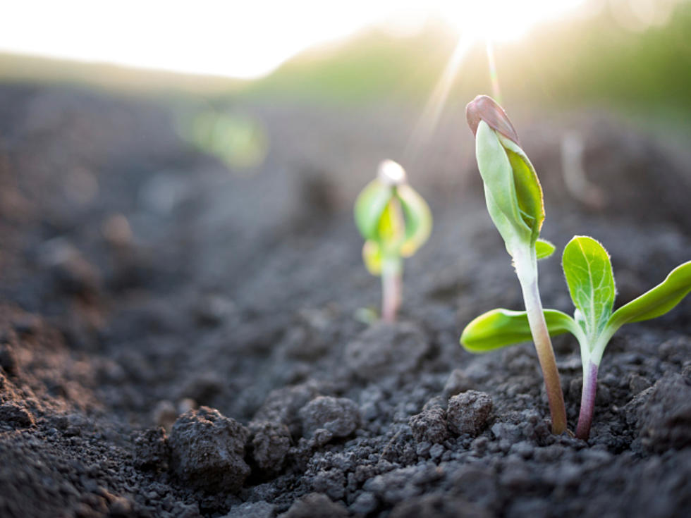 WATCH: Estabrook’s Garden Center Is Getting Ready for Springtime!