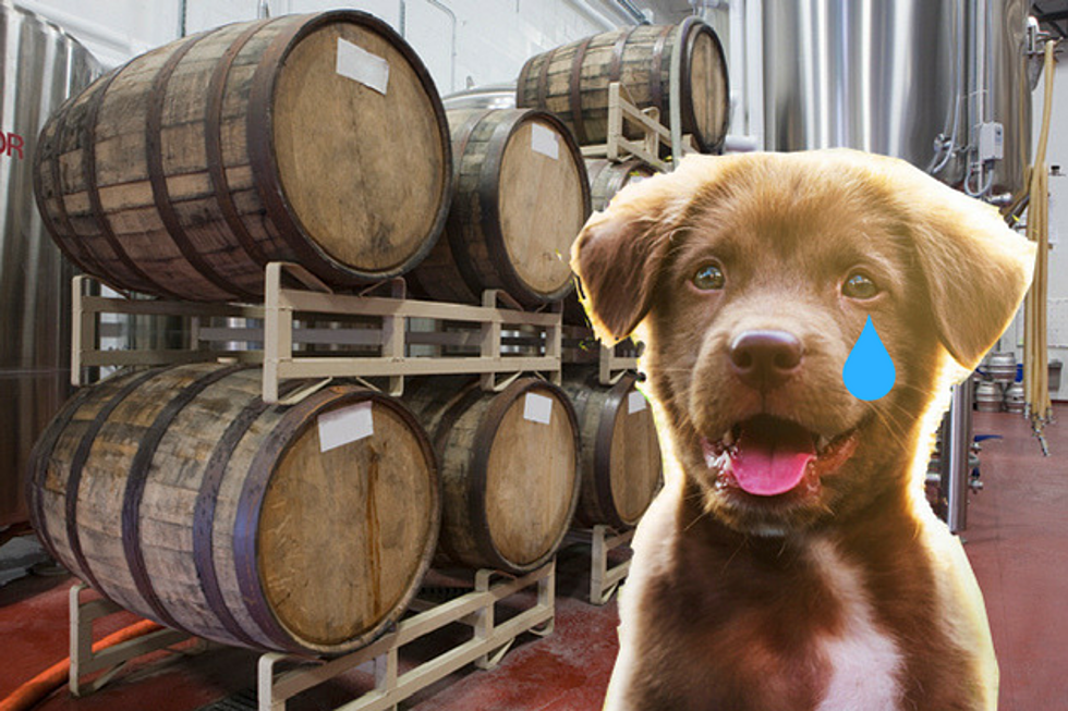 After Months Of Problems, Bissell Brothers Forced To Change Dog Policy At Their Tasting Room