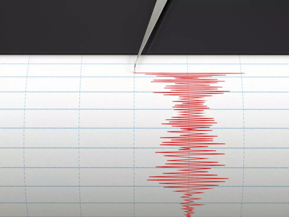 Small Earthquake Measured Off The Coast Of Portland