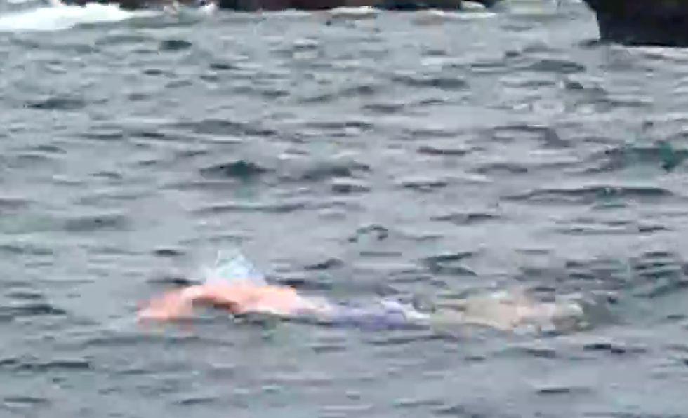 Maine Woman Sets New World Record for Swimming the English Channel [WATCH]