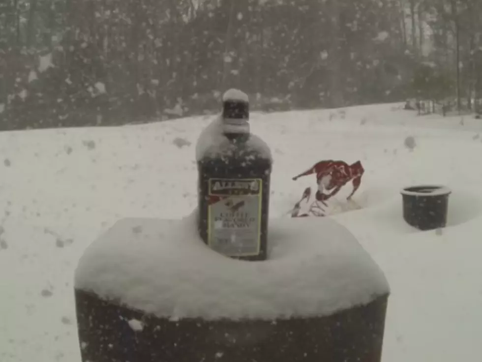 Is This The Real Reason Mainers Are Obsessed With Allen’s Coffee Brandy?