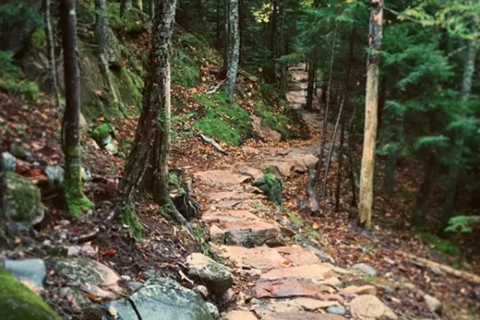 Hike Through The Creepiest Trail In Maine, Used In The Pet Sematary Movie