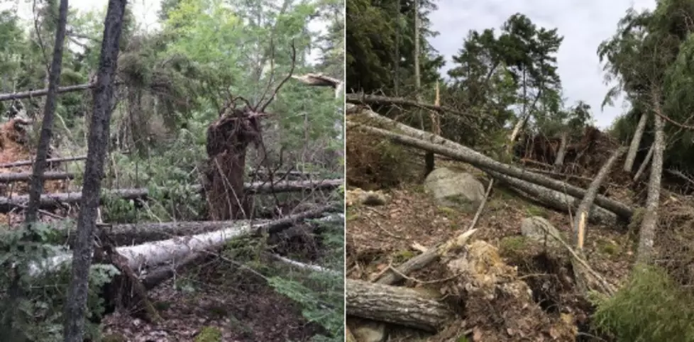 See the Aftermath of Two Tornadoes That Hit Rural Maine Over the Weekend