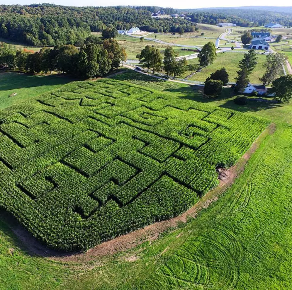 4 Corn Mazes Across Maine to Help You Get Your Fall On
