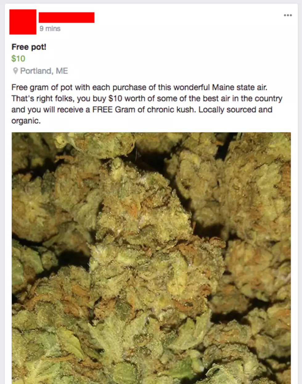Buy Some Fresh Maine Air, and Get Some Free Pot!