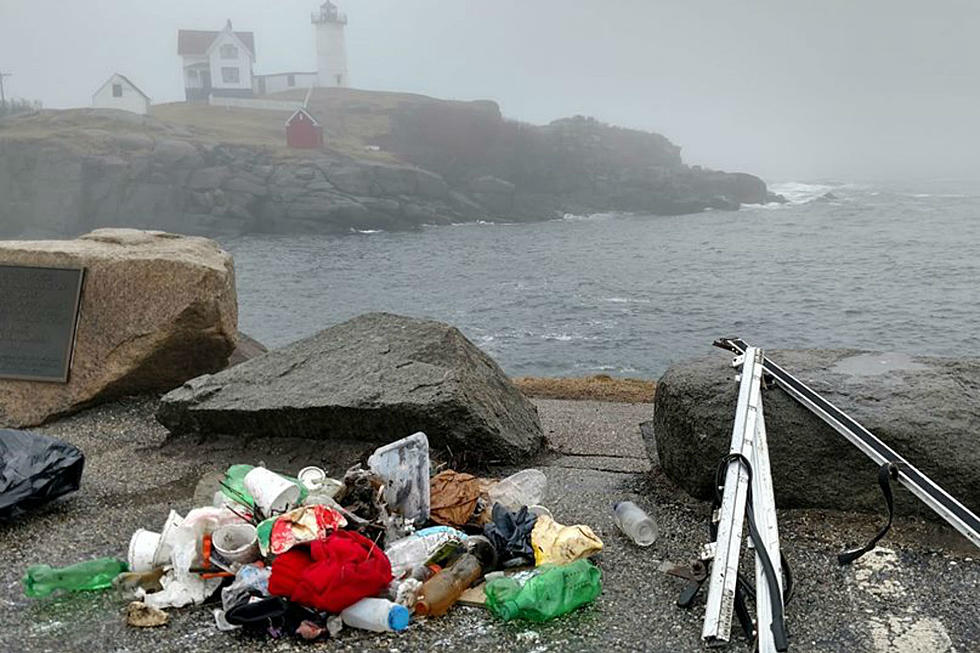 Significant Litter At Nubble Lighthouse In York Angers Local Photographer