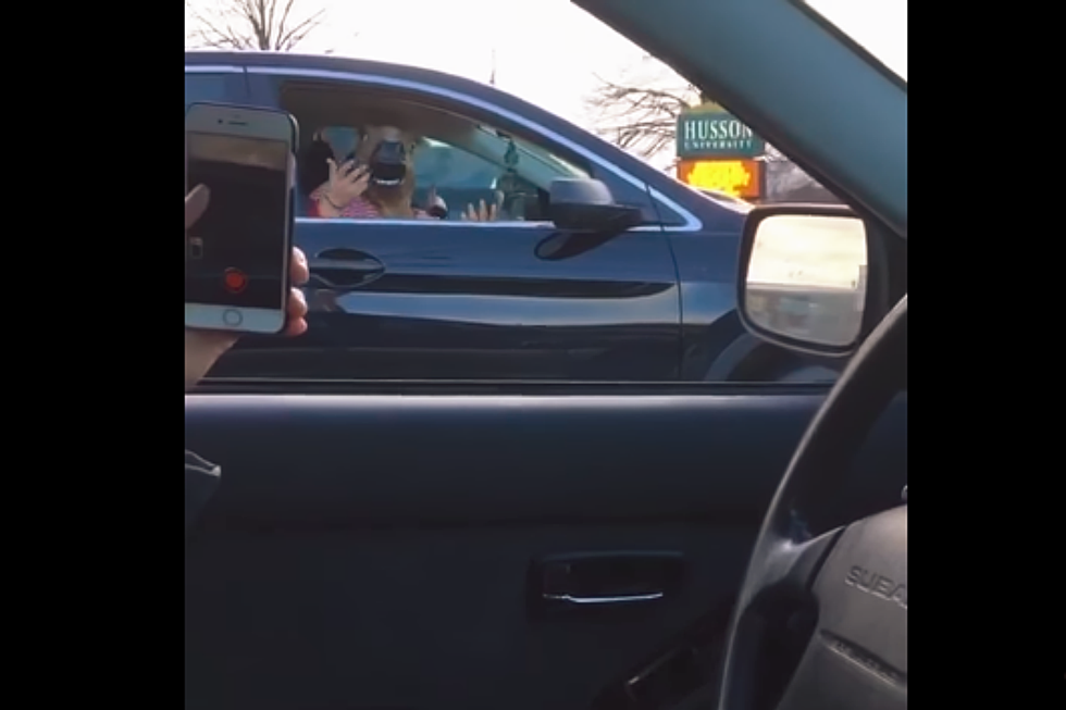 Is That a Horse in a Car in Westbrook? Yes!  [VIDEO]