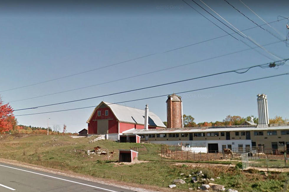 Part Of A Maine Farm To Transform Into A &#8216;Redneck Fun Park&#8217;
