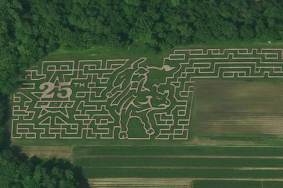 This 6-Acre Corn Maze At A Farm In Maine Is Absolutely Incredible