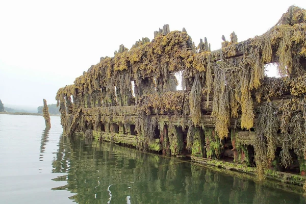 Paddle Your Way Through An Amazing Shipwreck Off The Maine Coast