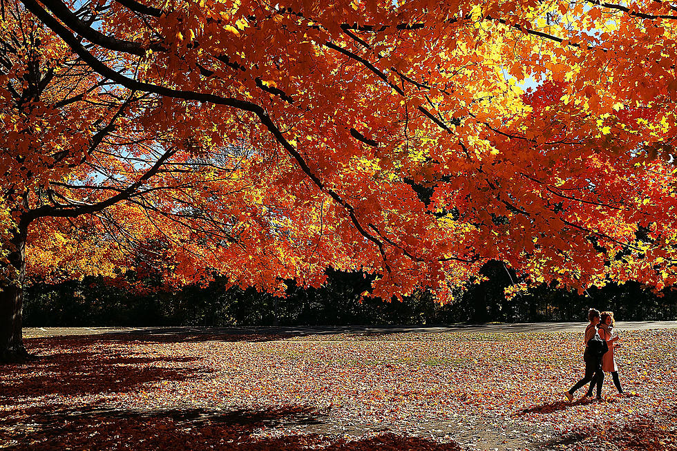 Celebrate the Arrival of Fall at the Portland Harvest Festival