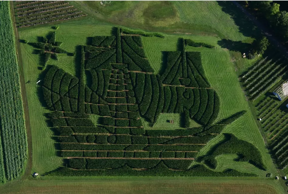 Get Lost In The Stalks Of This Incredible Ship-Themed Corn Maze In Maine