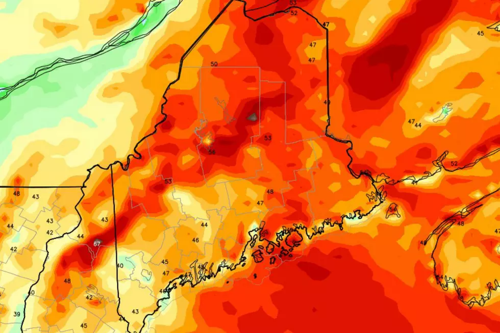 Brace Yourself: More Strong Winds for All of Maine on Thursday
