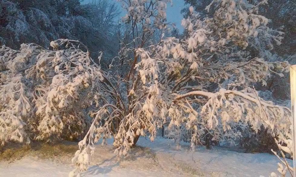 Snowfall Amounts from Thursdays Storm in Maine