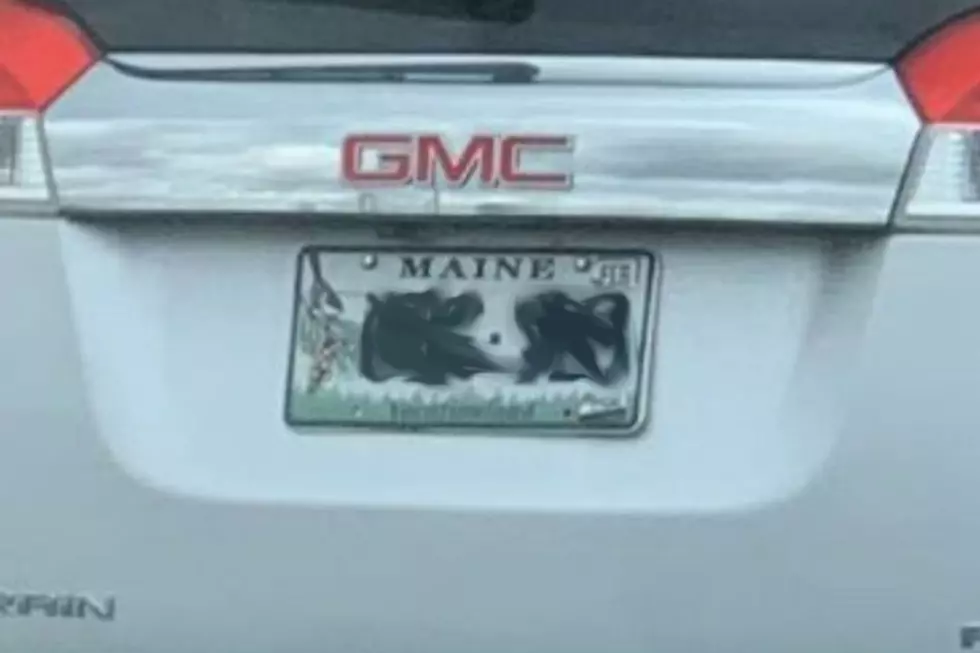 Someone Got Creative With Their Filthy Maine Vanity Plate