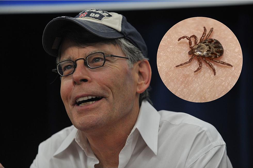 Stephen King Told A Horror Story In One Single Tweet About Ticks
