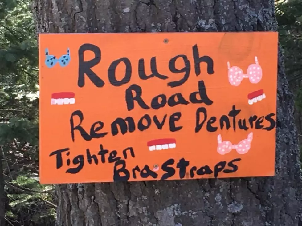 A Bumpy Road In Maine Is Fitted With The Perfect Warning Sign